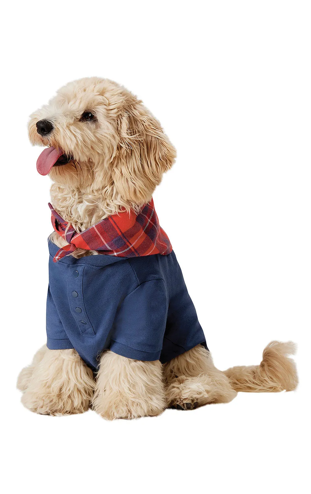 Americana Plaid Pet Pajamas - Family Set