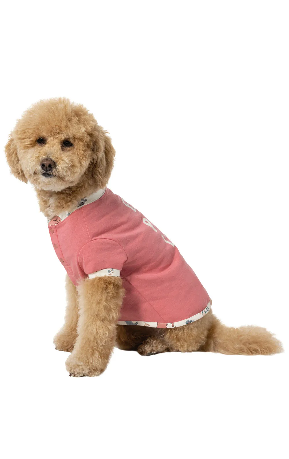 Playful Blooms Dog Pajamas - Pet & Owner