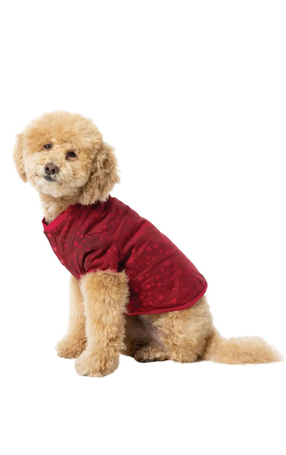 Sweet Love Pet Pajamas - Pet & Owner